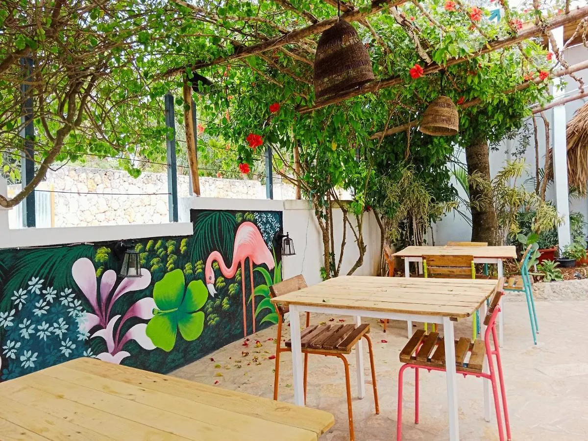 Hotel Tribe Inn Jungle & Flamingo Bayahibe