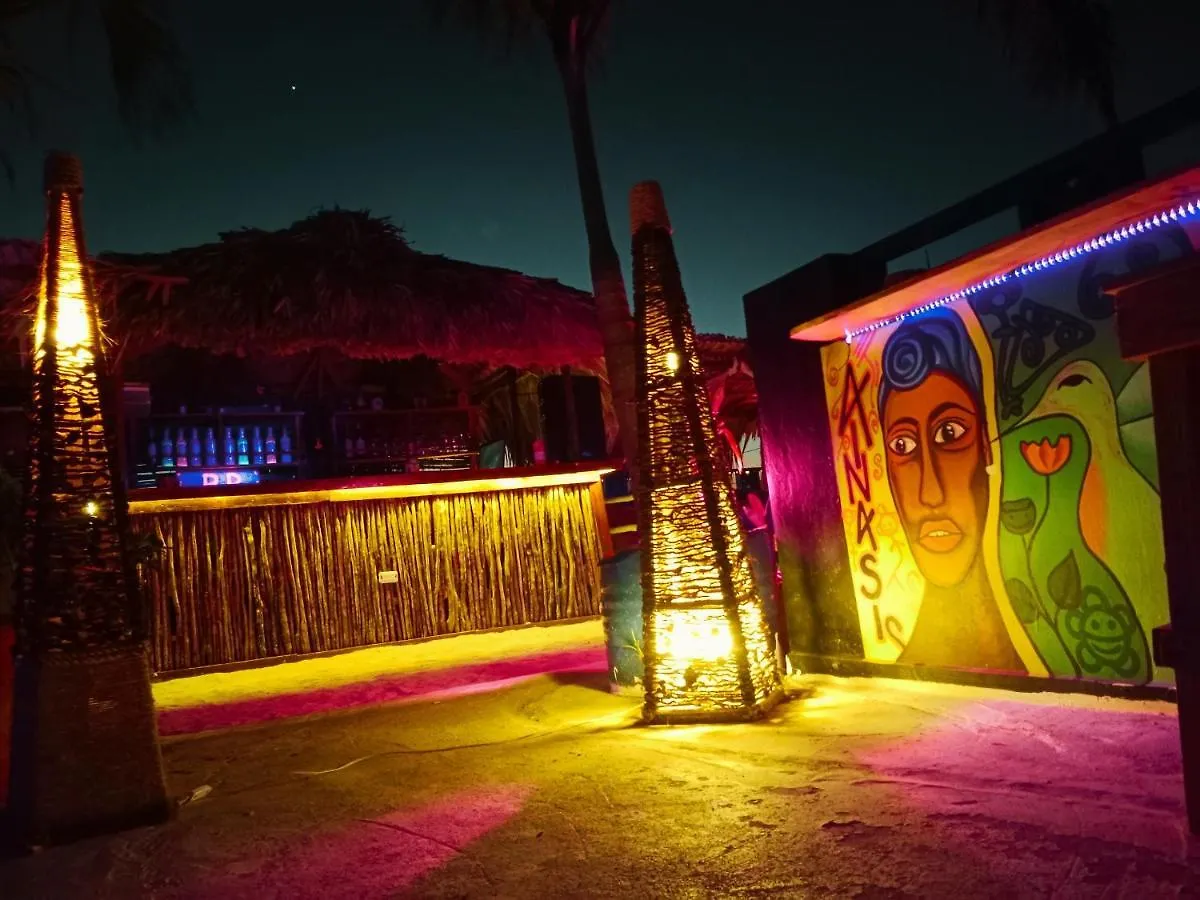 Tribe Inn Jungle & Flamingo Bayahibe Dominican Republic