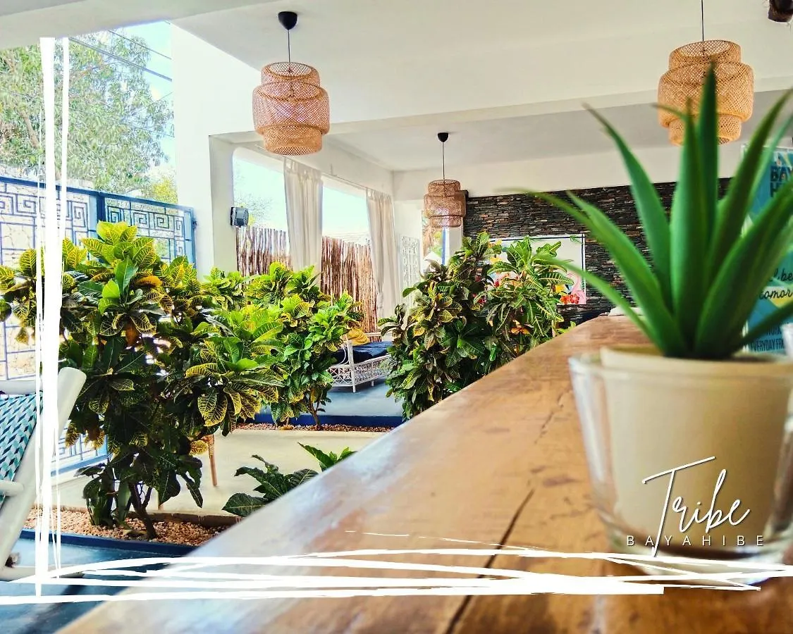 Hotel Tribe Inn Jungle & Flamingo Bayahibe Dominican Republic